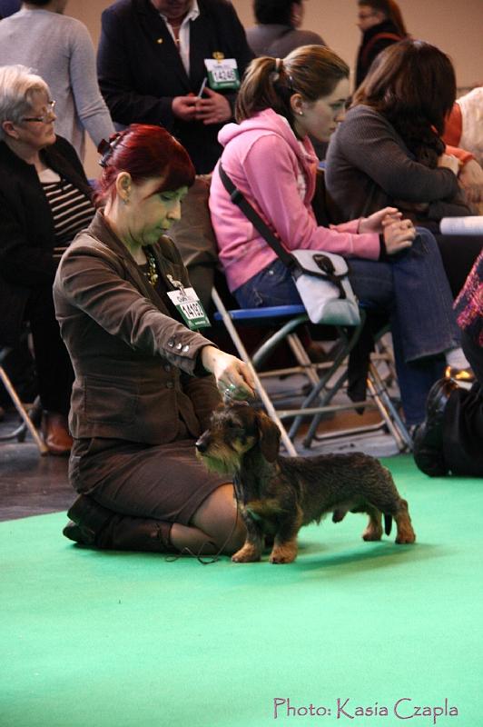 Crufts2011_2 633.jpg